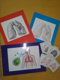 Познавательно – исследовательский проект с детьми старшей группы  «Наши органы дыхания»