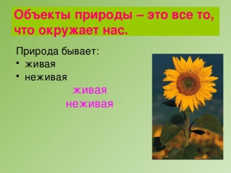 https://arhivurokov.ru/multiurok/a/9/2/a922a821e52a150d33a3feeb3f6f76feac935a3e/img1.jpg