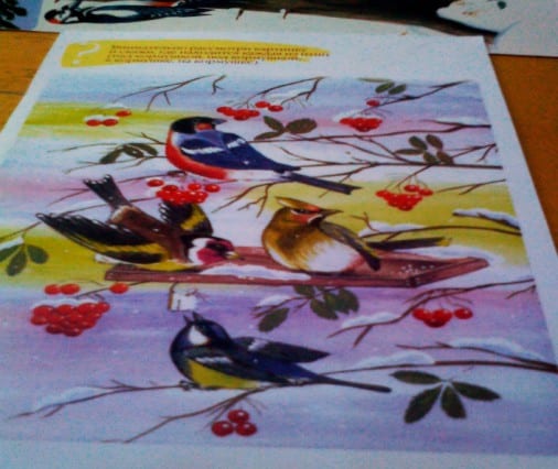 Рассматривание демонстративного материала « Птицы» картинок иллюстраций, отражающие красоту, многообразия природы весной.