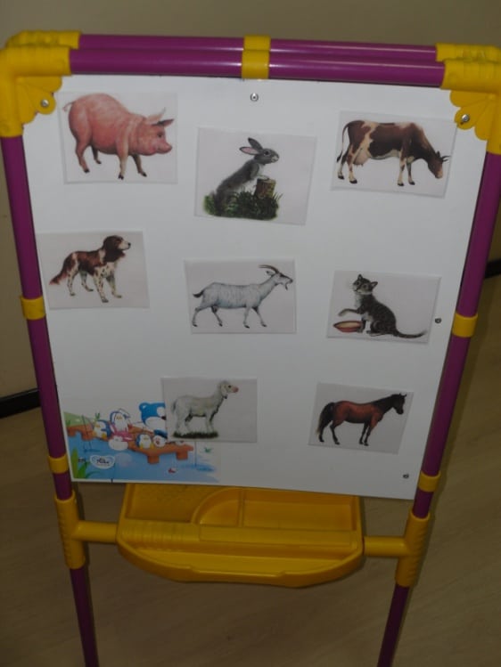 Конспект НОД «Домашние животные» для детей средней группы с помощью пособия «Лэпбук»